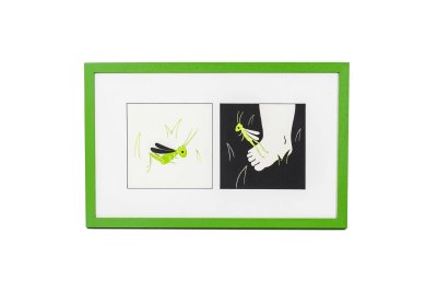 «Sauterelle» et «Sauterelle sur pied» illustrés par Laura Hedon - Album «Les petites bêtes qui montent, qui montent…», publié aux éditions La poule qui pond.
