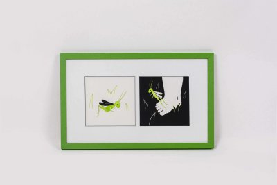 Cadre de deux illustrations originales page simple «Sauterelle» et «Sauterelle sur pied» de Laura Hedon - album «Les petites bêtes qui montent, qui montent…», publié aux éditions La poule qui pond. Partie 2 Dimensions ( 53x33cm)
