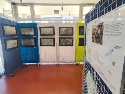 Mise en place à la Médiathèque de La Tronche (38)