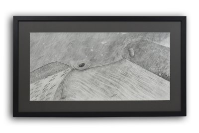 "Baleine et canette", illustration originale de Mathias Friman.