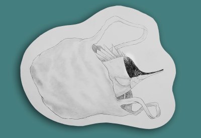 Panneau-décor d'un poisson tropical pris au piège d'un sac plastique. Dimensions (Lxh) : 72,5x56cm.