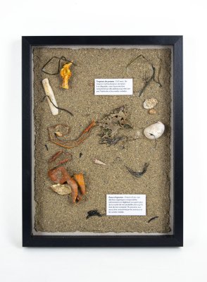 Boîtage de décomposition "Fruits" (42,5 x 32,5 x 4 cm) - à présenter à plat