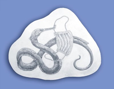 Panneau-décor d'un serpent de mer bataillant avec un masque. Dimensions (Lxh) : 74,5x57cm.