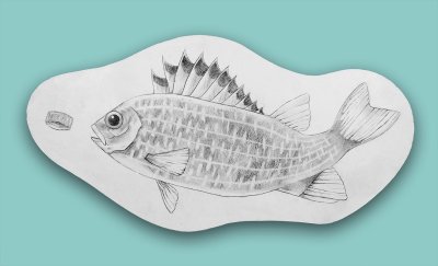 Panneau-décor d'un poisson prêt à avaler un bouchon plastique. Dimensions (Lxh) : 78,5x41cm.