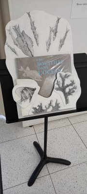 Porte-album sur pupitre à la médiathèque de Saint-Hilaire-de-Riez (85)