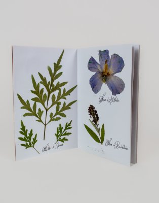 cahier de l'herbier à présenter sous vitrine