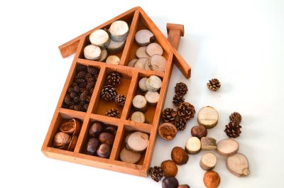 Jeu  "Hôtel de la forêt", tri d'éléments végétaux