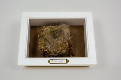 Cadre contenant un nid carré à présenter à plat