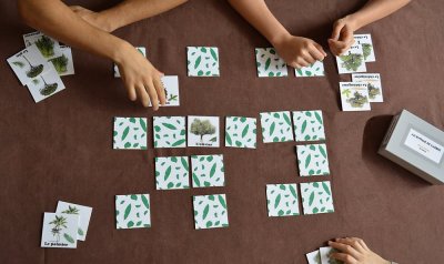 Jeu de memory de l'arbre - 15 paires de cartes pour découvrir 15 espèces d'arbres les plus reconnaissables et les plus caractéristiques de nos forêts.