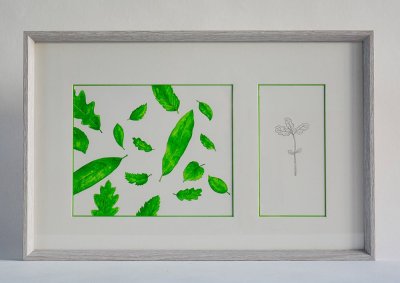 "Pages de garde" et "Petit chêne" Annexe à la planche "Il est tombé" -  illustrations originales de Mathias Friman présentées ensemble dans un cadre à deux fenêtre-images.