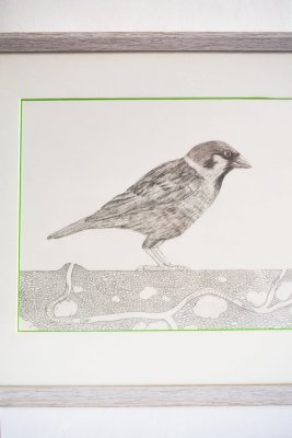 Gros plan sur l'oiseau et le travail artistique d'encadrement, fidèle à l'esprit des illustrations et de l'album publié.