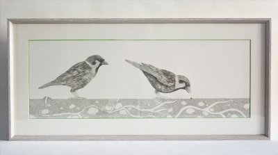 "Ce maudit oiseau"  illustration originale de Mathias Friman - crayon de papier et aquarelle.