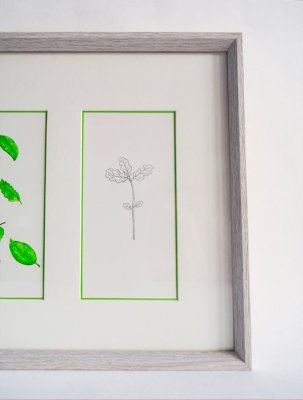Gros plan de l'illustration complémentaire du "petit chêne" complément de l'illustration "Il est tombé".