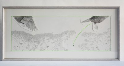 "Haut, très haut dans le ciel" illustration originale encadrée de Mathias Friman tirée de l'album "D'une petite graine verte" publié aux Éditions les fourmis rouges