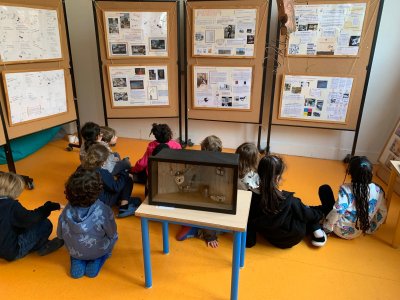 Panneaux en bois clair expliquant les proc&eacute;d&eacute;s de Christian voltz aux enfants. Dimensions ( 45x55 cm).