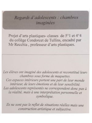 Fiche de pr&eacute;sentation du projet d'arts plastiques r&eacute;alis&eacute; par les &eacute;tudiants de 4&egrave;me et 5&egrave;me du coll&egrave;ge Condorcet de Tullins en janvier 2026.