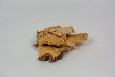 morceaux de bouleau à présenter sous vitrine