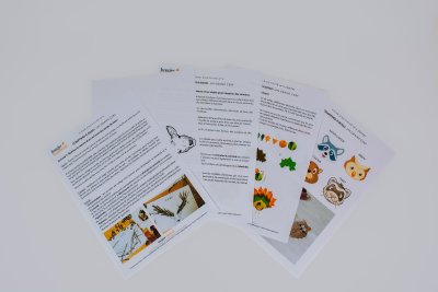 fiches d'activités du classeur