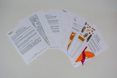 fiches d'activités du classeur