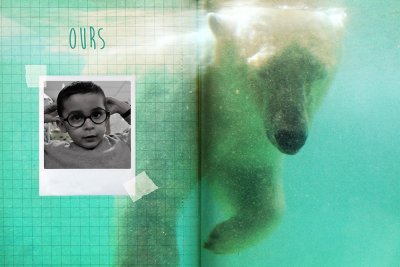 "Ours" &hellip; ou deux oreilles rondes au-dessus de la t&ecirc;te.