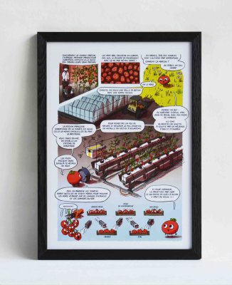 Épisode 4 : Le big business de la tomate - Planche 6