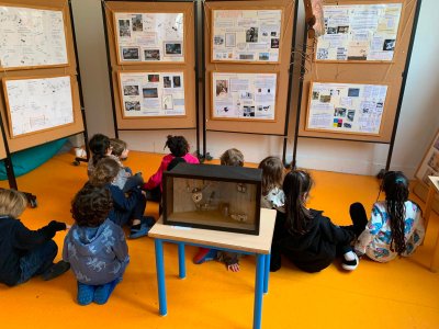 Panneaux en bois clair expliquant les proc&eacute;d&eacute;s de Christian Voltz aux enfants. Dimensions (45x55 cm).