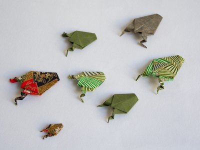 7 grenouilles en train de nager de tailles différentes - Origamis réalisés par Elisabeth Cuzuel-Romby.