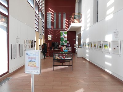 Mise en place de l'exposition dans le hall de la médiathèque de Carros (06)