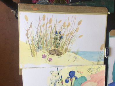 "Les dunes" en cours de réalisation, ne manque plus que le parent bécasse.