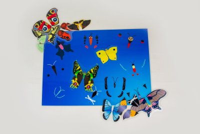 Jeux des papillons plastifiés à replacer