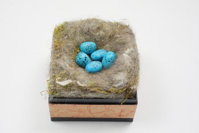 véritable nid carré et ses faux oeufs (à présenter sous vitrine)