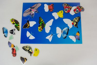 Jeux des papillons plastifiés à replacer