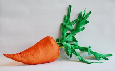 Splendide carotte-coussin, pour mieux lire au jardin.