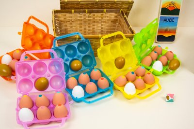 25 &oelig;ufs bruns identifi&eacute;s selon 5 couleurs diff&eacute;rentes, 5 &oelig;ufs blancs et 5 dor&eacute;s, rang&eacute;s dans les 5 bo&icirc;tes color&eacute;es des joueurs.